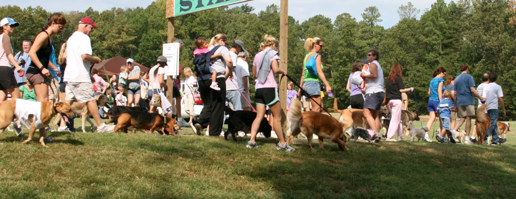 Bark in the Park Dog Walk